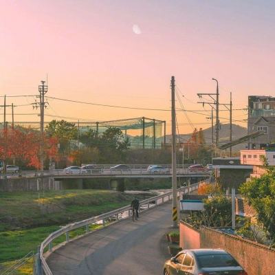 丝路2bt果盘版下载