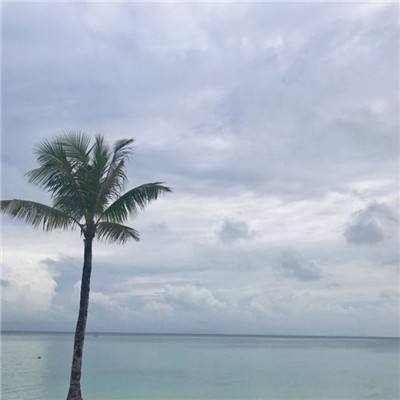 果盘幻想大乱斗ol手游下载